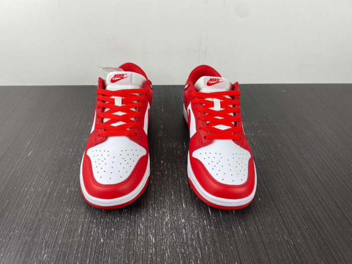 Dunk Low Retro SP