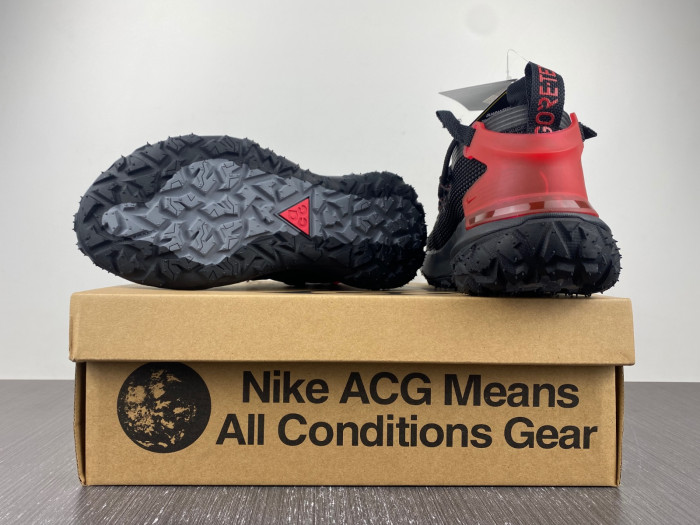 Nike ACG MOUNTAIN FLY LOW