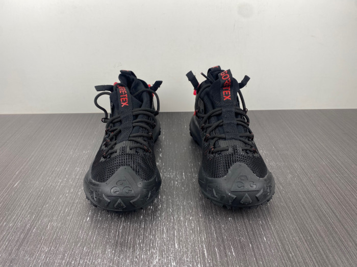 Nike ACG MOUNTAIN FLY LOW