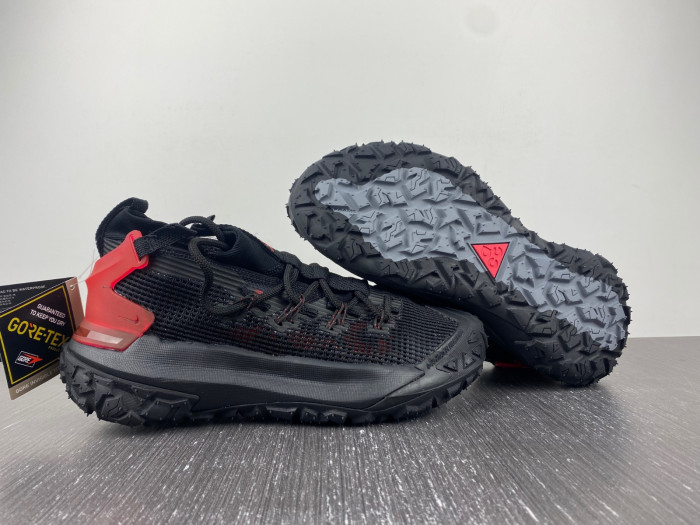 Nike ACG MOUNTAIN FLY LOW