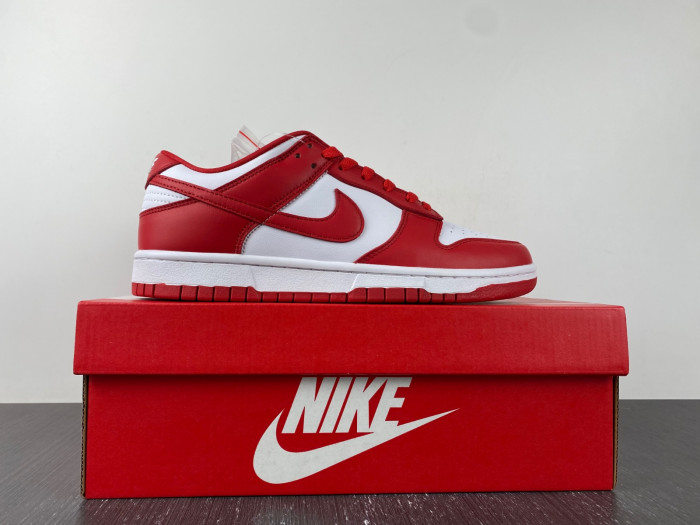 Dunk Low Retro SP