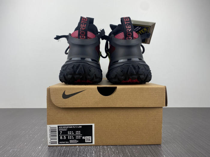Nike ACG MOUNTAIN FLY LOW