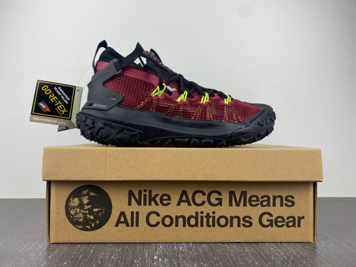 Nike ACG MOUNTAIN FLY LOW