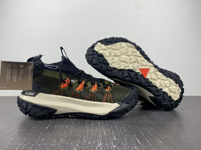 Nike ACG MOUNTAIN FLY LOW