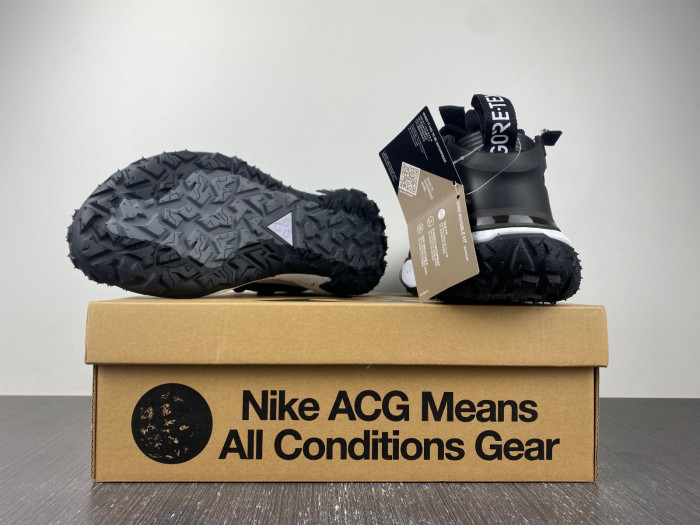 Nike ACG MOUNTAIN FLY LOW