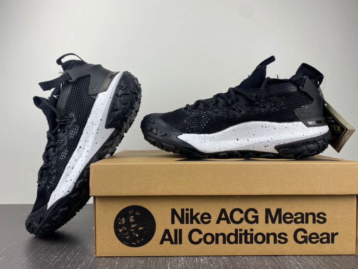 Nike ACG MOUNTAIN FLY LOW