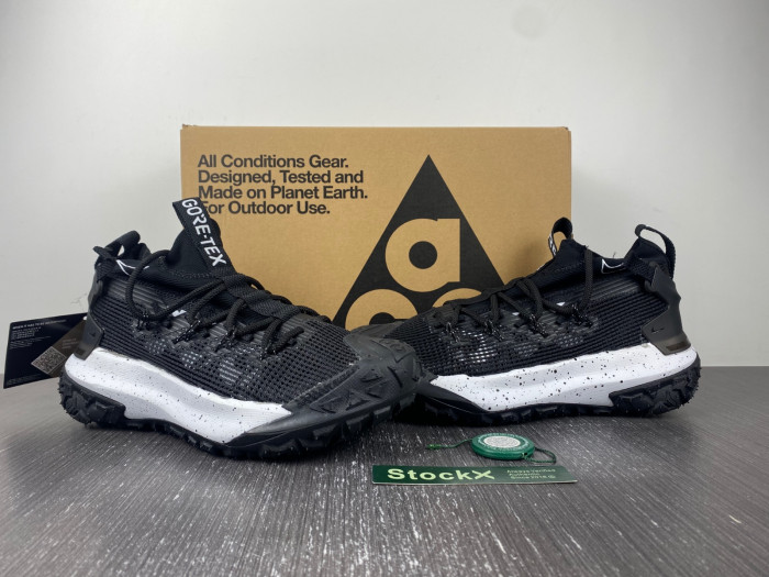 Nike ACG MOUNTAIN FLY LOW