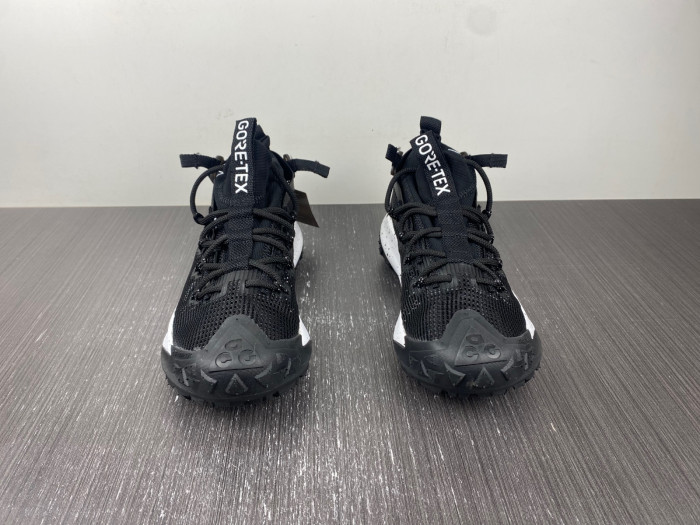 Nike ACG MOUNTAIN FLY LOW