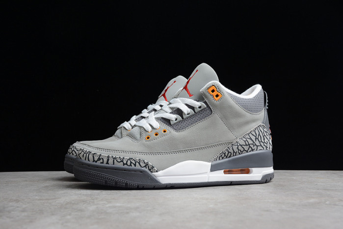 Air Jordan 3 "Cool Grey"(2021) CT8532-012