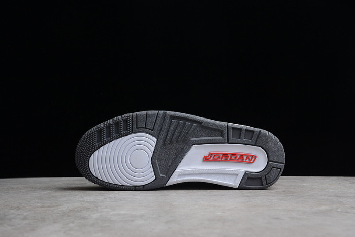 Air Jordan 3 "Cool Grey"(2021) CT8532-012