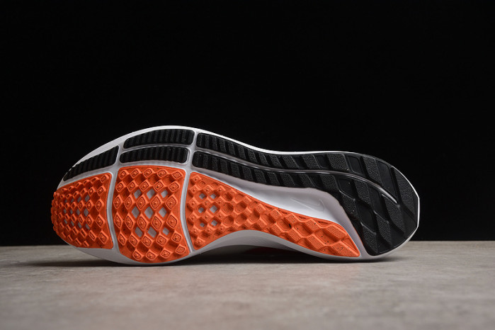 Nike AIR ZOOM PEGASUS 39