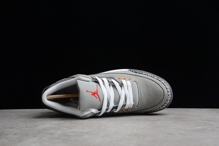 Air Jordan 3 "Cool Grey"(2021) CT8532-012
